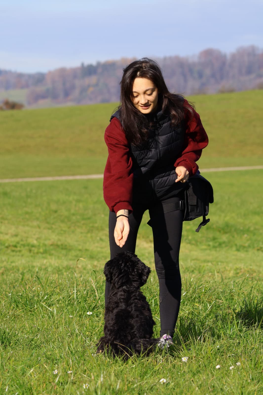 Alison